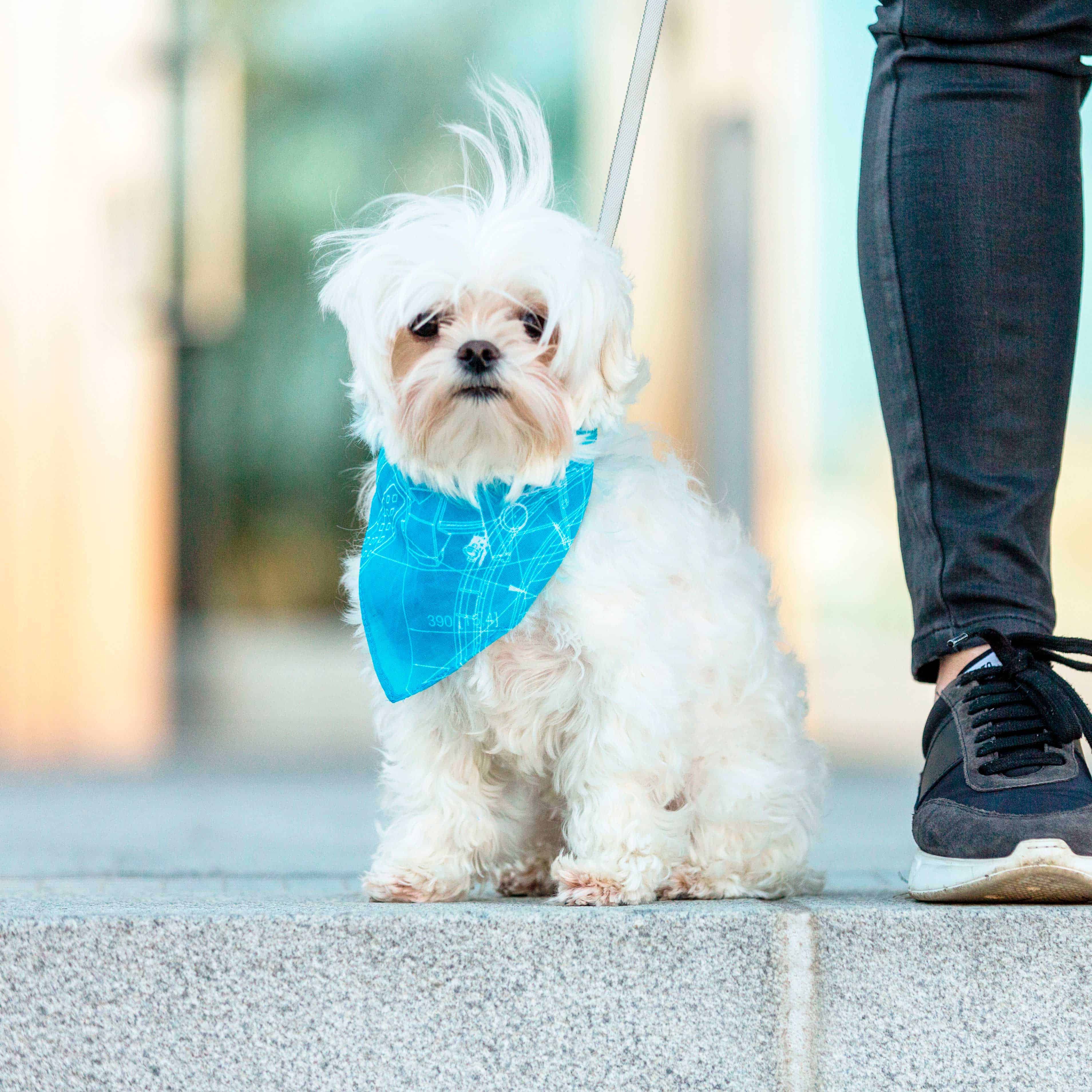 blue bandana with blueprint pattern