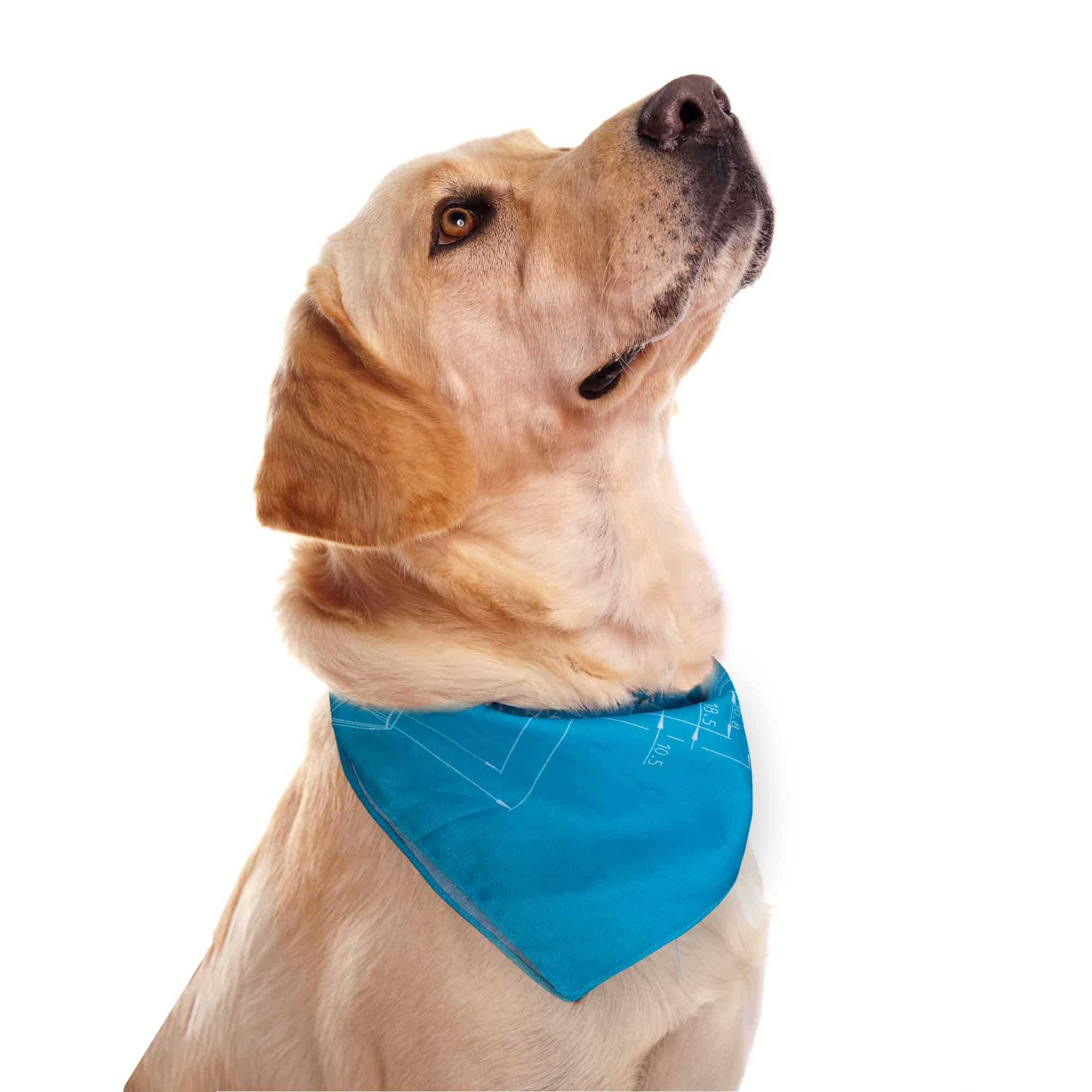blue bandana with blueprint pattern